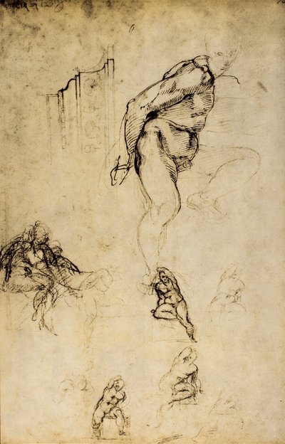 Study of Masculine Forms by Michelangelo Buonarroti